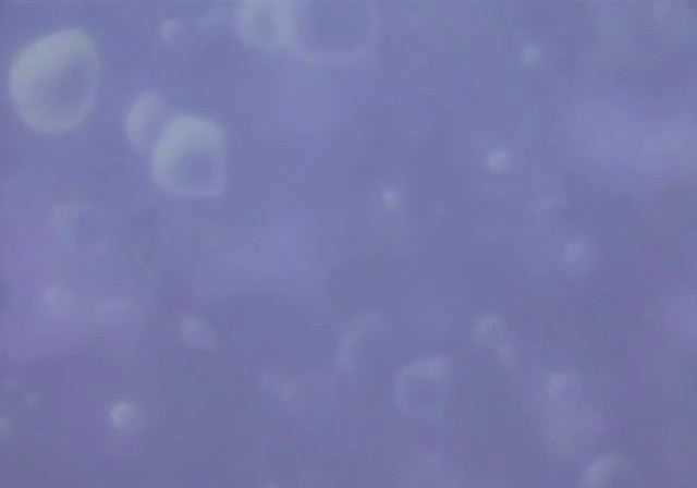 bscap0382