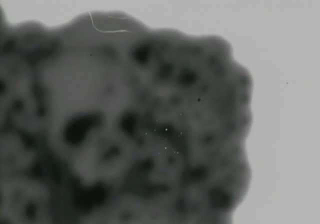 bscap0508