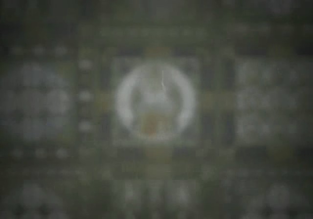 bscap0509