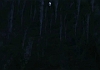 bscap0564