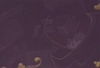 bscap0361