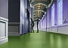 bscap0249