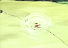 bscap0577
