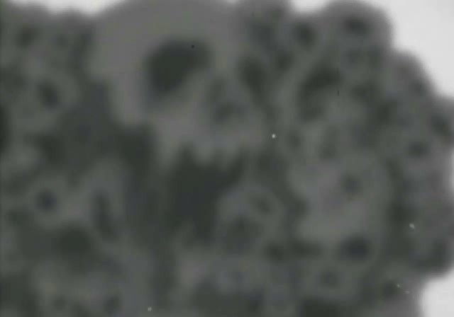 bscap0295