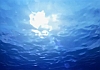 bscap0871