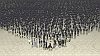 bscap0142