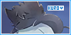 Sleepy Ash/Kuro