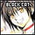 Black Cat