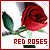 Red Roses