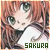 Kinomoto Sakura/Sakura Hime (Card Captor Sakura)
