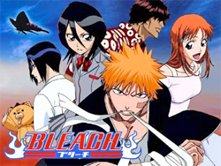 Fullbringer, Bleach: Chronicles of the Soul Wiki