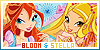 Bloom & Stella