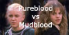 Pureblood vs. Mudblood