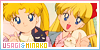 Sailor Moon/Tsukino Usagi & Sailor Venus/Aino Minako